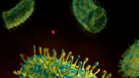 Person dies in UK after becoming infected with rabies while on holiday