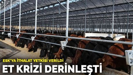 Et krizi derinleşti: ESK’ya ithalat yetkisi verildi