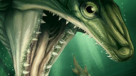 Chance discovery of 365-million-year-old fossil reveals new species