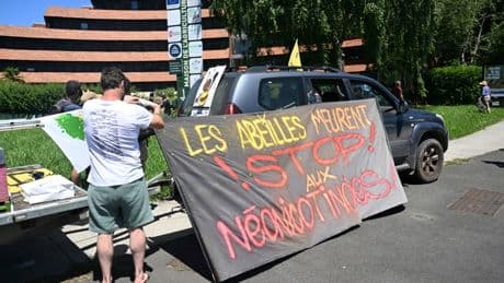 Pesticides : des milliers d'opposants à la loi Duplomb mobilisés ce weekend en France