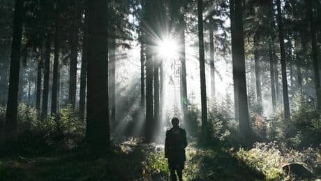 Menschen allein unterwegs: Woher kommt die Sehnsucht nach Wildnis?