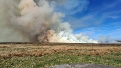 Wildfires break out and spread over UK countryside on hottest day of the year