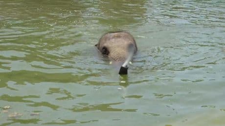 Sommer im Zoo - Mann, ist das heiß!