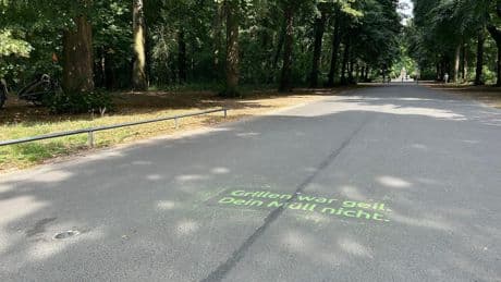 Braunschweig: Anti-Müll-Aktion im Prinzenpark – Botschaften auf Wegen