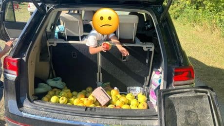Rotten to the core: Ohio orchard goes viral after outing family that tried to steal $300 worth of apples