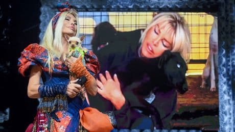 Ajda Pekkan'dan sokak hayvanları için çağrı: Onları korumak bizim insanlık görevimiz