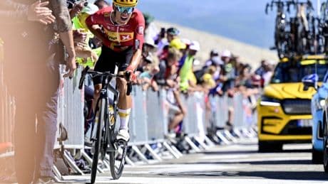 Tour de France: Radprofi kollabiert im Ziel nach Etappe auf Mont Ventoux