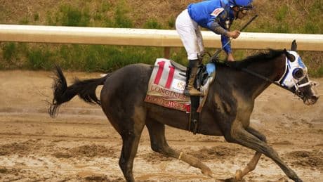 2025 Acorn Stakes: Can anybody upset Good Cheer on Friday at Saratoga?