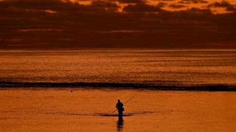 Goldener Abend