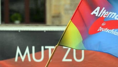 Neue Pläne für Werbekampagne: AfD will „Stolz-Pass“ in Sachsen-Anhalt einführen
