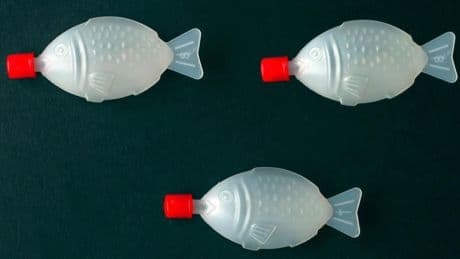 Einwegplastik: Staat in Australien verbannt als weltweit erster Sojasoßen-Fische