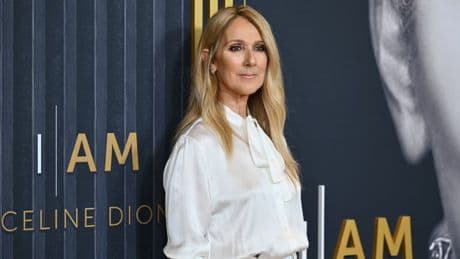 Céline Dion et Alain Chabat au doublage d'un film d'animation imaginé par Paul McCartney
