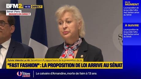 Loi fast fashion : "interdire l’ensemble de la publicité (…) mettrait en danger constitutionnellement le texte", pour la rapporteure