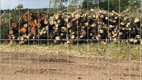Blairgowrie residents' anger after 137 trees felled by developer