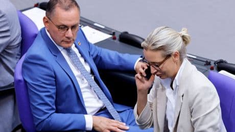 AfD-Verbot: Studie der Uni Köln sieht Gutachten als gute Grundlage