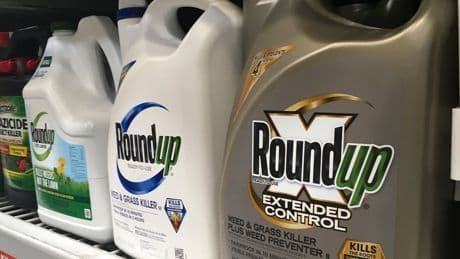 Georgia become second US state to shield maker of Roundup weed killer from some cancer claims