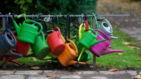 Kriminalität an sensiblen Ort: Wenn Deko vom Grab verschwindet - Diebstähle auf Friedhöfen