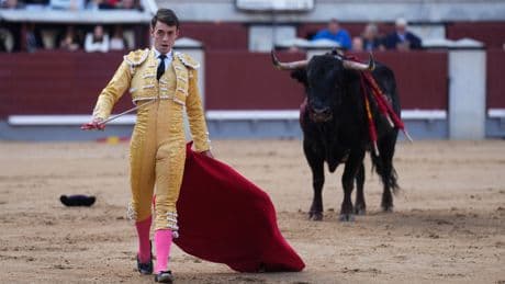 Al Alimón: Una &quot;mansada total&quot; de Valdefresno para el día de San Isidro sin que se les diera la lidia correcta