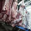Partij voor de Dieren: 75 procent minder vee en glazen wanden in het slachthuis