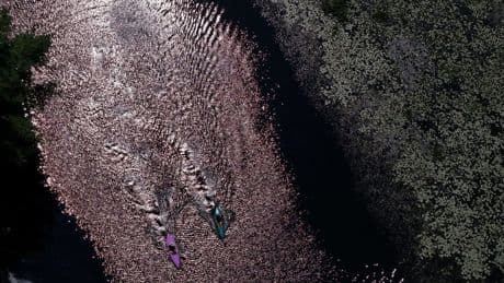 Welke taal gebruik je voor wat je niet kunt zien? Natuurschrijver Robert Macfarlane schreef over de bezielde rivier
