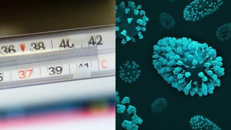 Influenza, boom di casi anche in Italia? I medici: «Dal 15% al 25% in più di malati rispetto allo scorso anno»