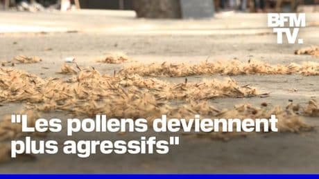 "Les pollens sont plus agressifs": les allergies sont de plus en plus nombreuses et plus longues