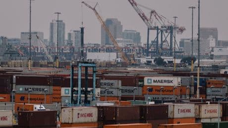 Supreme Court Agrees to Review Trump’s Sprawling Tariffs
