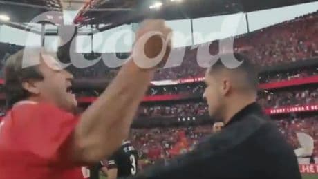 Un aficionado del Benfica intentó agredir al árbitro al acabar el partido