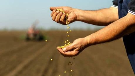 Droni, IA e fondi ai giovani: dal governo un miliardo per l?agricoltura del futuro