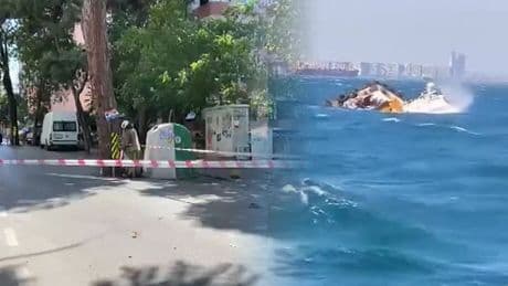 İstanbul'u fırtına vurdu; ağaçlar devrildi, denizde can pazarı yaşandı