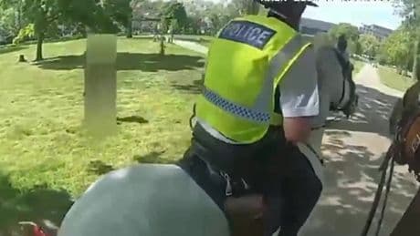 Video: Moment out-of-control dog tries to bite police horses on patrol