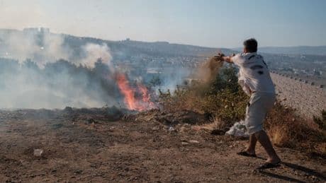 Turkey wildfires force flights at Izmir Airport to be cancelled and diverted