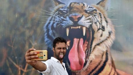 Don't let a selfie be the end of you