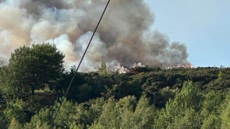 Huge wildfire 'visible from M90' rages on hill near Perth as emergency services rush to scene