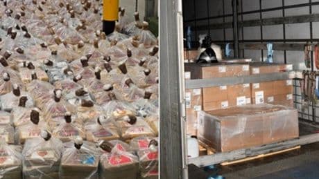 Cocaine worth £100m seized by Border Force officers in huge port bust