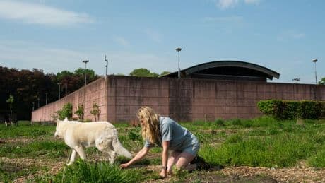 In Beeld: Achter de tralies wordt nu kunst gemaakt