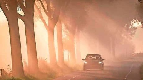 Code geel voorbij na dichte mist in noorden en oosten van het land