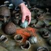 Kampfmittel-Belastung: Munitions-Räumung auf „Bombodrom“ im Nordwesten Brandenburgs dauert bis 2030