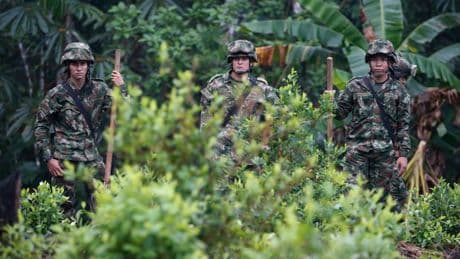 Secuestrados 34 militares en Guaviare tras una operación contra la disidencia de Mordisco