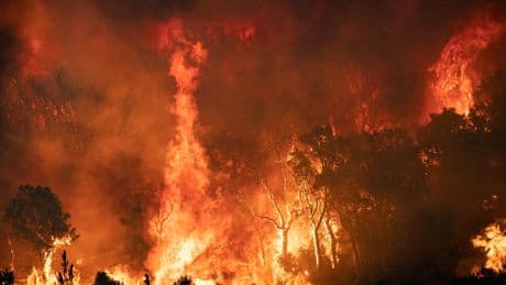 Wildfires are blazing across Africa – but leaders like Trump are turning away