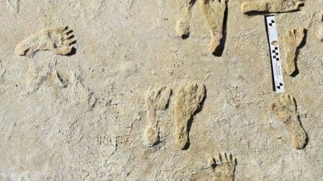 Scientists discover mysterious 23,000-year-old American culture in breakthrough