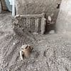 Pompeii family's desperate fight for survival: Archaeologists discover a bed wedged against the door of a house - alongside the remains of a child
