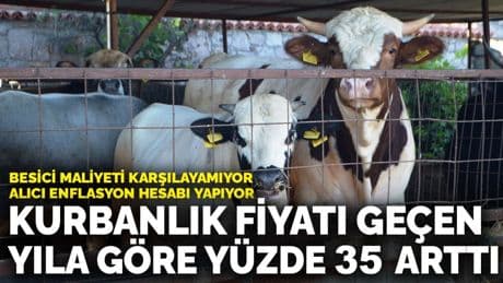 Kurbanlık fiyatı geçen yıla göre yüzde 35 arttı