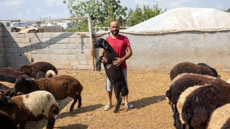 Mersin Büyükşehir Belediyesi'nden kırsal kalkınmaya hayvancılık desteği