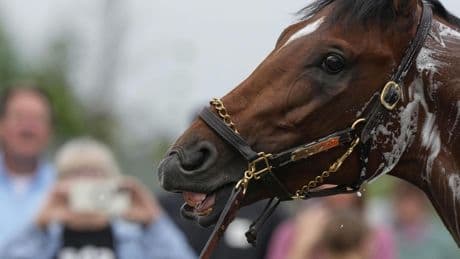 Kentucky Derby could be a mudder's delight with rain in the forecast