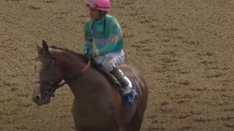Horse named after vet who tragically died months on from saving champion Lady Eli wins
