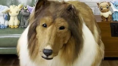 Man spends £12,480 to become a dog and practices rolling, sitting and paw