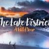 A unique perspective on a turbulent year in the Lake District