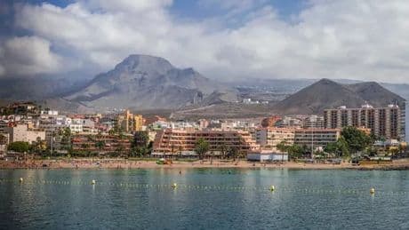 British tourists in Tenerife warned after 'invasive' bug found in popular area
