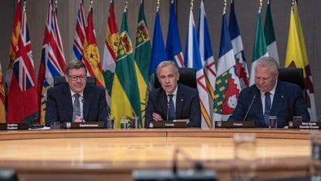 Amid the trade war, OECD has lowered its global economic growth projections